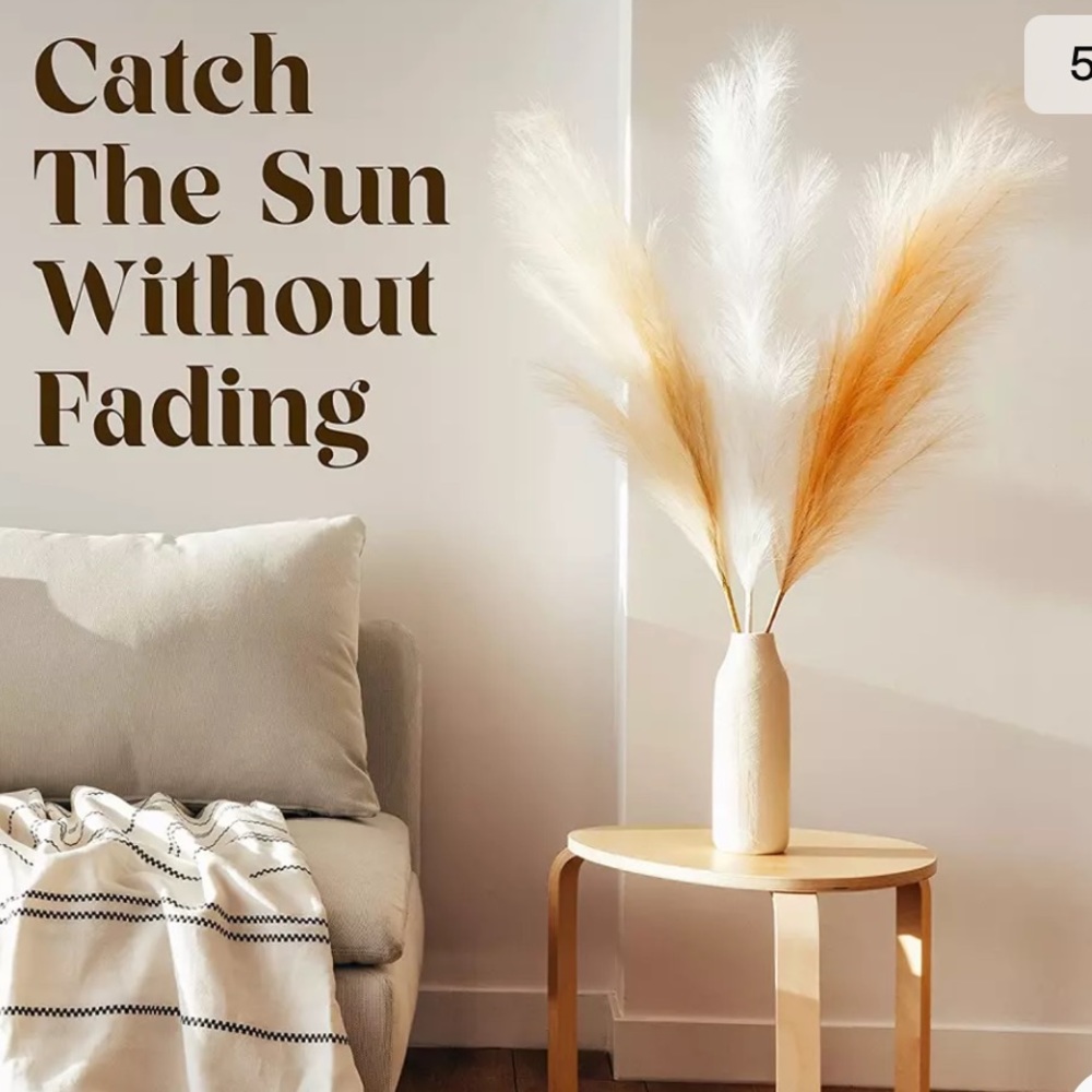 Home Pro Shop arts & crafts Pampas Grass.3Pcs.